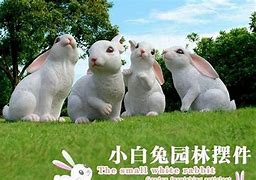 属兔的女孩找什么属相的男孩