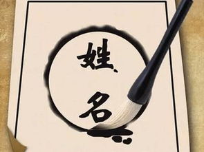 免费起名字服务探索起名文化的现代实践