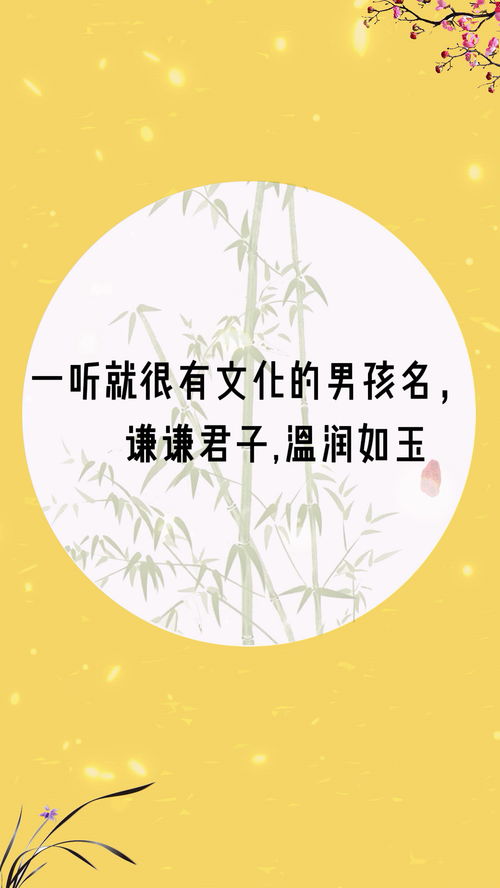 清翼之歌