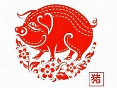 属猪的起名字不能用什么字