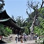 一北唐雅韵传承千年的名字艺术

**