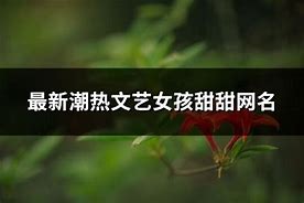 探索最新潮网名起名的文化个性化与社会认同的交织