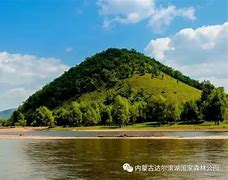 诺敏案是真的吗
