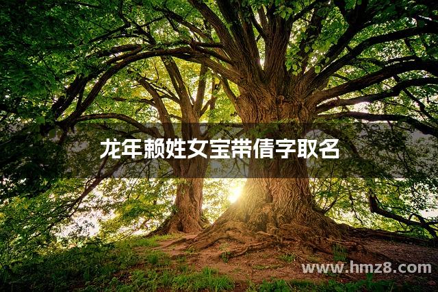 赖仪起名探秘中国文化的命名艺术