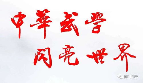 田智博名字的含义