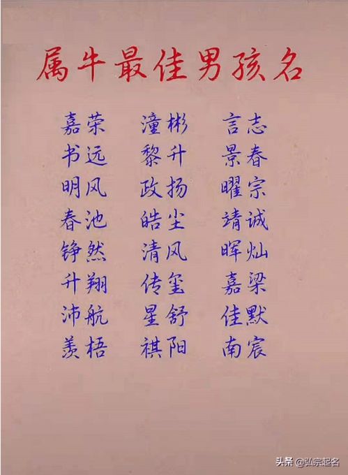 男孩好听的名字又有内涵的字