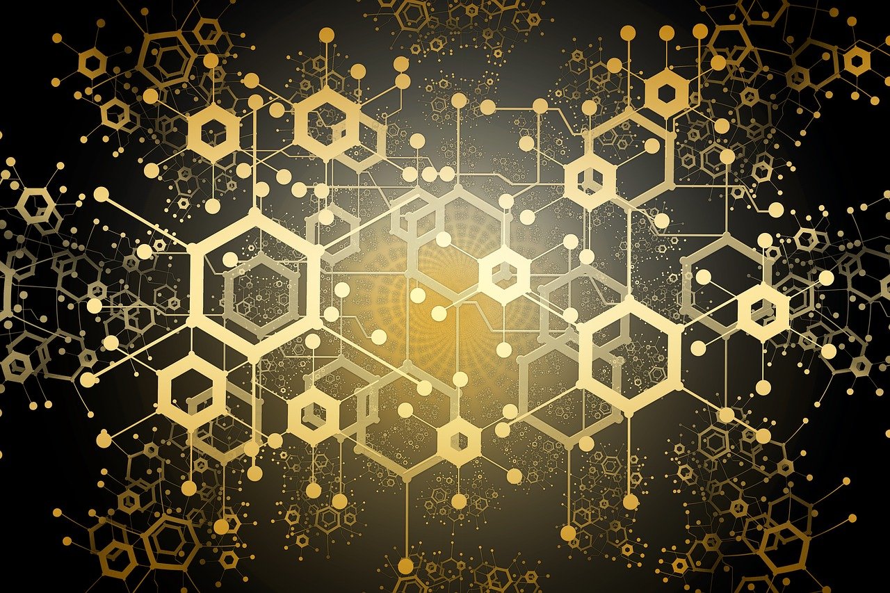 国学智慧铸名，重名查询系统的深度解析与应用之道