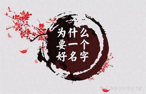 文字起名字女孩名字