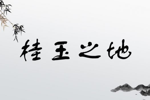 鑫起名