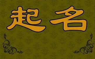 梦见迷路了总是走不出来