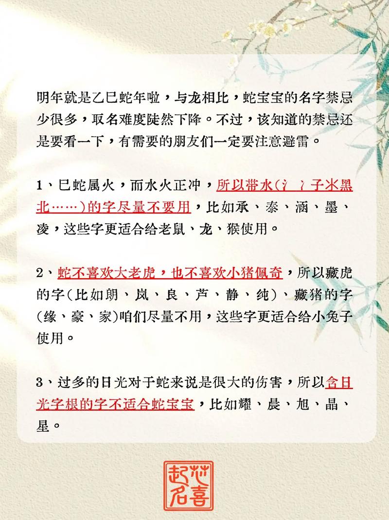 张建豪个人信息