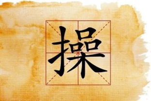 苏丙的名字