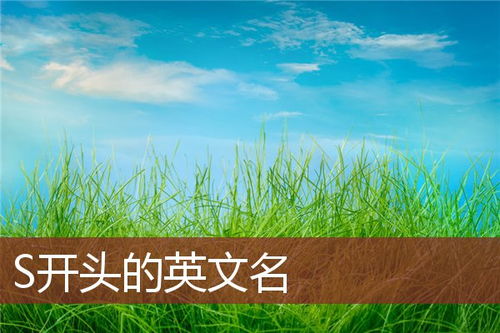 女生英文名字取什么好