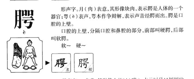 何洪淼是谁