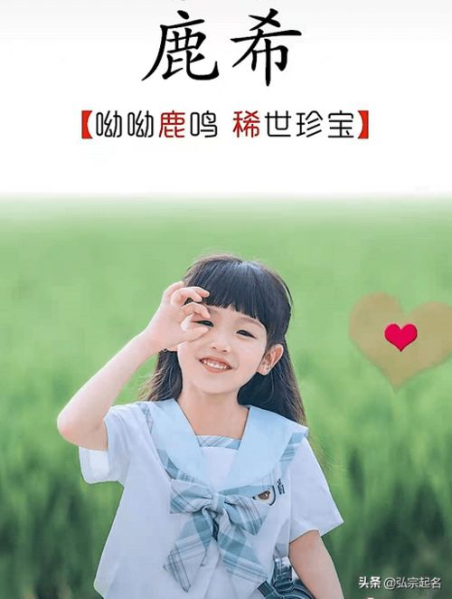刘文萱名字分析