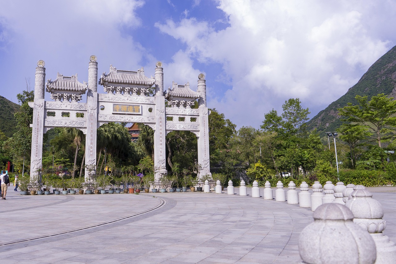 文化艺术管理学院，探索本科教育的深度与广度