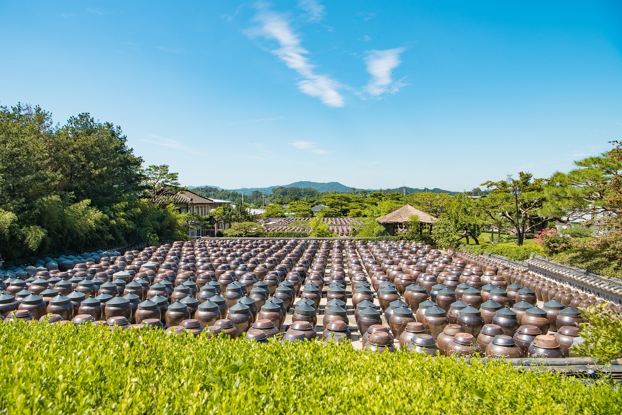 探索食品公司的秘密世界，从农田到餐桌的全程之旅